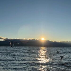 Meet your Posher, Alieu